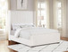 Natasha - Upholstered Queen Wingback Bed - Cream