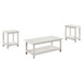 Payne - 3 Piece Coffee And End Table Set - Distressed White