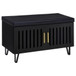 Brixton - 2-Door Padded Entryway Shoe Storage Bench - Black