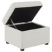 Winter - Upholstered Hydraulic Lift Top Storage Ottoman - Beige