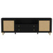 Arini - Rattan Cane 2-Door TV Stand Media Console - Black