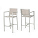 Outdoor Rust Proof Aluminum Barstools (Set of 2)