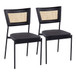 Tania - Rattan Dining Chair (Set of 2) - Black