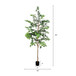 6Ft Artificial Ficus Tree With Natural Trunk In Pot For Indoor Home Office Decor - Green Leaves