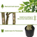 Artificial Banyan Tree With A Trunk And Lifelike Leaves, For Indoor And Outdoor Use - Green
