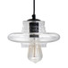 Torus - Saucer Industrial Pendant - Clear