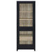 Denison 67-inch 2-door Media Tower Storage Cabinet Black
