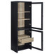 Denison 67-inch 2-door Media Tower Storage Cabinet Black
