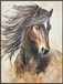 Windborne Stallion Hand-Embellished Canvas In Frame - Brown / Ivory