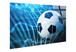 Netted Victory Tempered Glass - Blue / Black