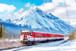 Winter Rail Passage Tempered Glass With Foil - Blue / Red