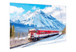 Winter Rail Passage Tempered Glass With Foil - Blue / Red