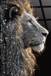 Starlit Sovereign I Tempered Glass With Foil & Rhinestones - Black / Gold