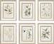 Quiet Botanical Print on Paper In Double Frame (Set of 6) - Beige / Green