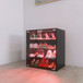 4 Layers Shoe Cabinet With Glass Door And Glass Layer Shoes Display Cabinet With LED Light Bluetooth Control - Black