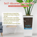 Indoor Outdoor Planter With Automatic Watering System