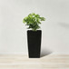 Indoor Outdoor Planter With Automatic Watering System