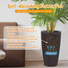 Tall Planters Set With Water Level Monitor And Auto Watering