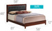 Transitional Modern Design Bed