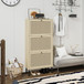 Modern Rattan 3 Door Shoe Rack Cabinet For Entryway