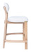 Rilou - Counter Stool (Set of 2)