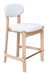 Rilou - Counter Stool (Set of 2)