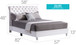 Elegant Transitional Upholstered Bed