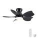 Low Profile Flush Mount Ceiling Fan With Light