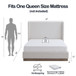 Hosford - Minimalist Upholstered Wingback Bed With Wood Base Platform