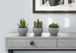 Artificial Succulent Plants (Set of 3)