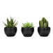 Artificial Succulent Plants (Set of 3)