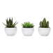 Artificial Succulent Plants (Set of 3)