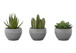 Artificial Succulent Plants (Set of 3)