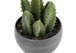 Artificial Succulent Plants (Set of 3)