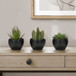 Artificial Succulent Plants (Set of 3)