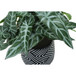 Artificial Alocasia Plant (Set of 2)