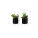 Artificial Succulent Plants (Set of 2)