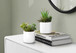Artificial Succulent Plants (Set of 2)