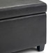 Avalon - Contemporary Storage Ottoman Bench