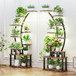 9 Tiered Indoor Plant Stand With 5 Adjustable Grow Lights