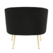 Tania - Accent Chair - Gold Metal And Black Velvet