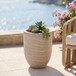 Florique - Indoor / Outdoor Concrete Planter
