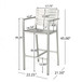 Outdoor Aluminum Rust Proof Barstools (Set of 2) - Silver