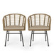 Randy - Modern Wicker Chair With Water Resistant Cushions - Brown / Beige