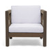 Brava - Mid - Century Modern Club Chair With Water Resistant Cushions