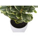 Artificial Ficus Elastica Plant (Set of 2)