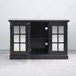 Storage Cabinet With 3 Mirrored Acrylic Doors, Adjustable Shelves