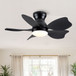 Low Profile Flush Mount Ceiling Fan With Light