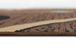 Contempo 40 Chocolate Rug