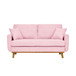 Upholstered Loveseat With Arms And Pillows